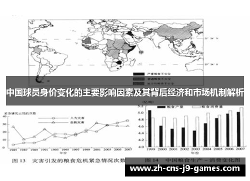中国球员身价变化的主要影响因素及其背后经济和市场机制解析