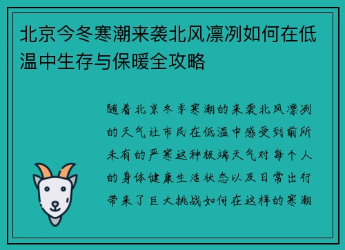 北京今冬寒潮来袭北风凛冽如何在低温中生存与保暖全攻略