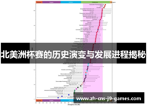 北美洲杯赛的历史演变与发展进程揭秘
