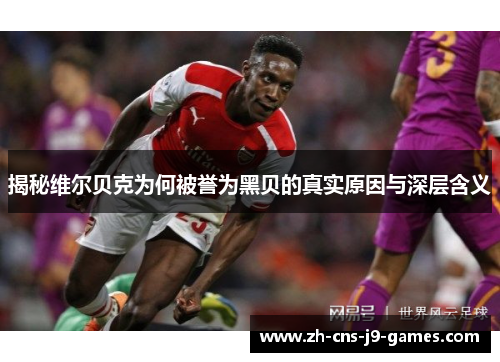揭秘维尔贝克为何被誉为黑贝的真实原因与深层含义 揭秘维尔贝克为何被誉为黑贝的真实原因与深层含义