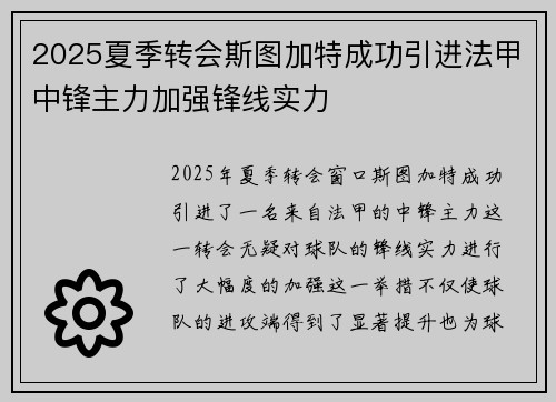 2025夏季转会斯图加特成功引进法甲中锋主力加强锋线实力