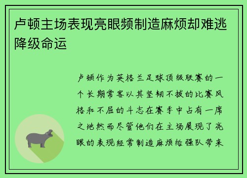 卢顿主场表现亮眼频制造麻烦却难逃降级命运